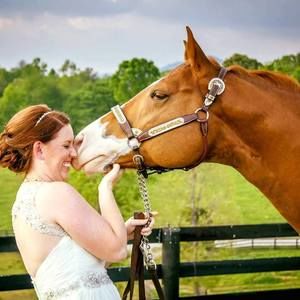 Meet your Posher, Morgan